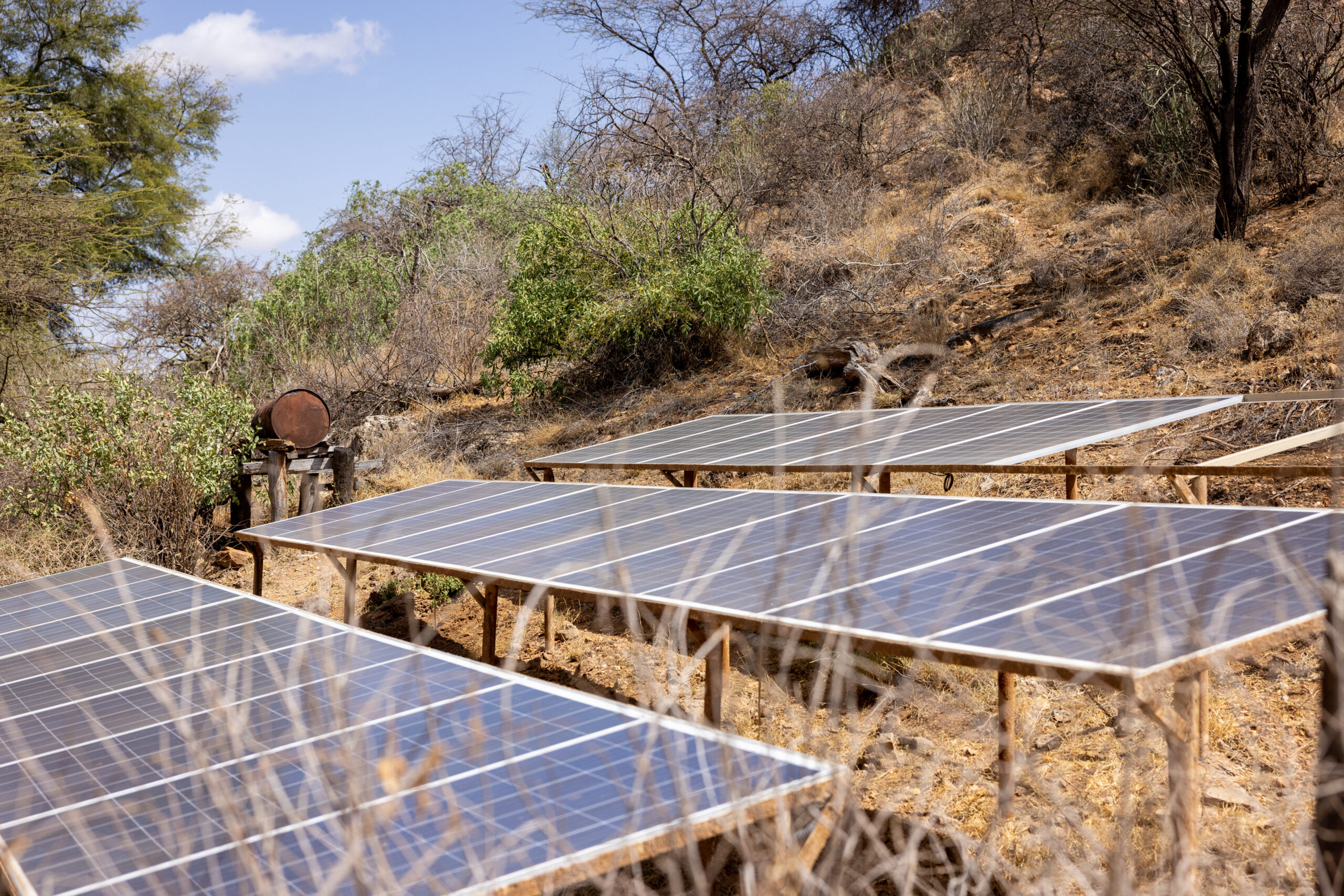 Rows of solar panels in an open field capturing sunlight